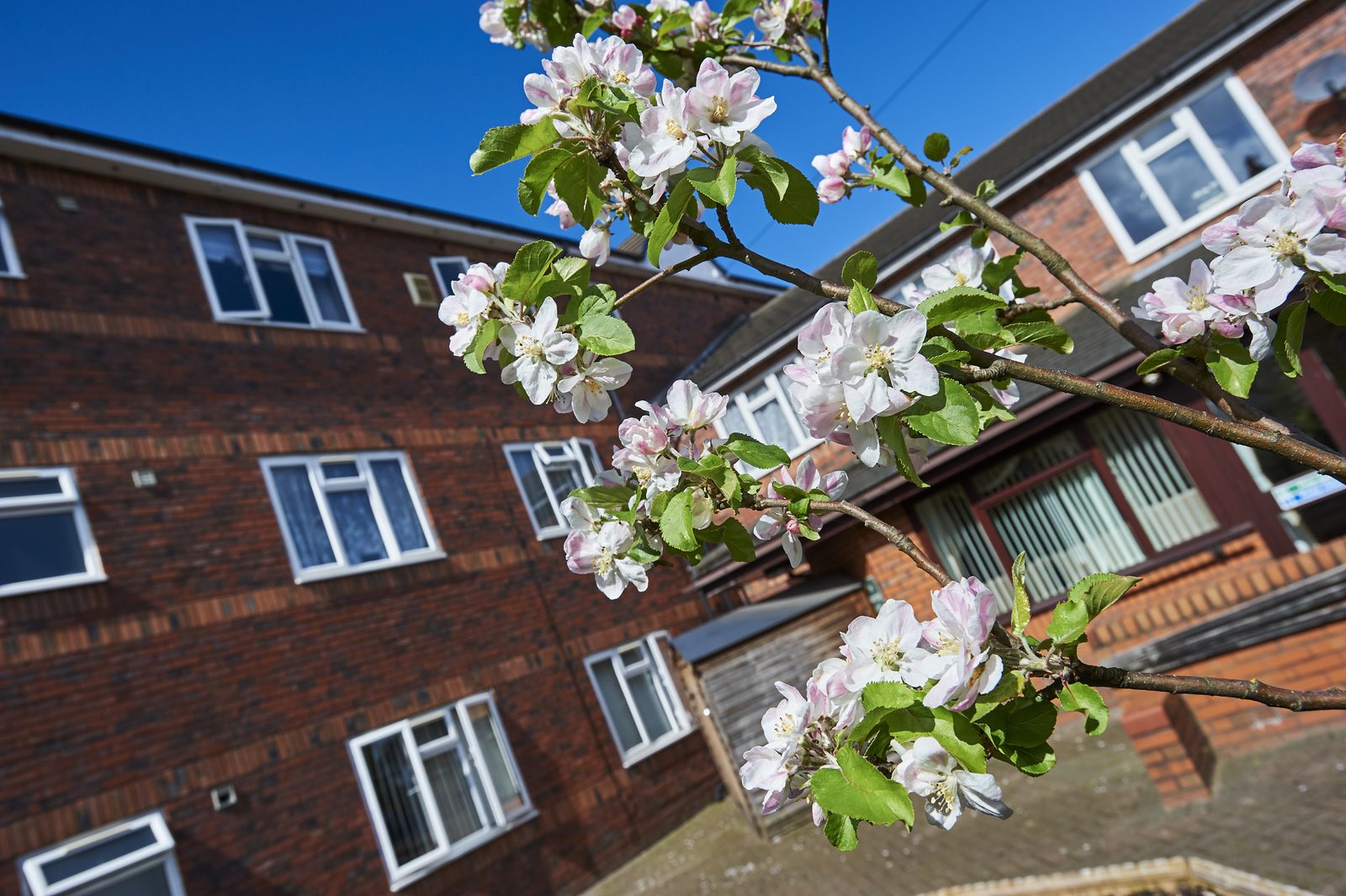 Simonsfield Care Home photo 3