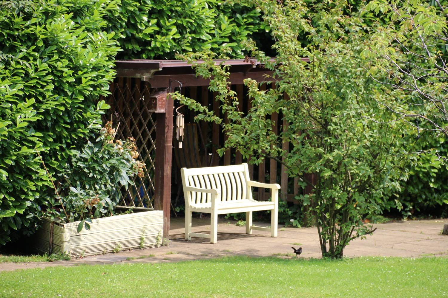 The sensory garden at Millfield Care Home