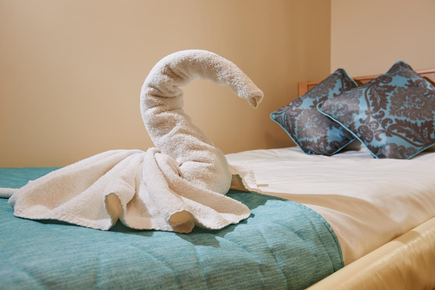 Hillside Care Home photo 6